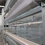 4 Tier 2 Doors H Type Broiler Cage Hot Galvanized Surface Treatment for sale