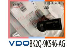 China A2C59517051 BK2Q-9K546-AG Common Rail Injector For Citroen supplier