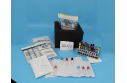 China Clear 95 KPa Specimen Transport Bags Lab Pathology Supplies Custom Accept supplier