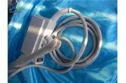 China Siemens Acuson EC-10C5 Endovaginal Ultrasound Transducer Probe supplier