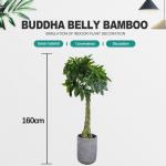 SGS UV Resistance Artificial Money Tree For Home Decoration Green Color Indoor Plants for sale