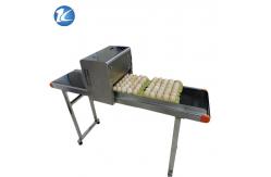 China Professional Egg Stamping Machine Laser Batch Coding Machine 600dpi Resolution supplier