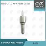 E429 Delphi Common Rail Nozzle for sale