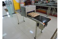 China High Resolution Egg Inkjet Date Code Printer With No Need Clean Nozzle supplier