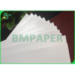 280gsm Poly Coated Cup Paper Material Single Or Double Poly Coating