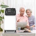 Dual Flow Mobile Oxygen O2 Concentrator Machine 10 L for sale