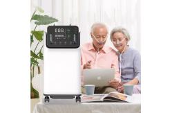 China Dual Flow Mobile Oxygen O2 Concentrator Machine 10 L supplier