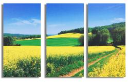 China Home Art Printed Acoustic Panel Soundproof Board Wall Decoration Painting supplier