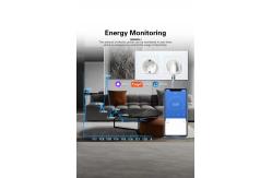 China White Black Grey Smart Socket Vioce Support 16A 3500W Smart Life Socket supplier