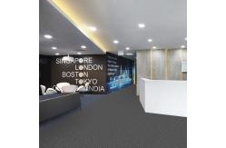 China Cut Pile Loop Carpet Tiles Polypropylene Anti Static Nylon Floor Carpet supplier