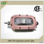 Pure White 30W LED 160° Explosion Proof Light 3000lm , Portable LED Flood Lights for sale