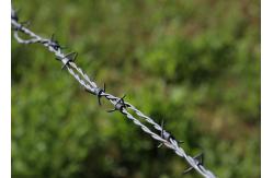 China Garden Anti-Theft Double Strand Reverse Twist Hot Dipped Galvanized Barbed Wire Roll supplier