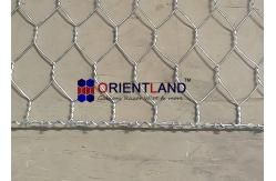 China River Bank Protecetion Gabion Wire Mesh supplier