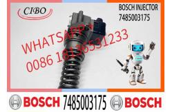 China 313GC5230M 313GC5230MX 7485003175 0986445005 Chinese New Diesel Fuel Injection Unit Pump supplier