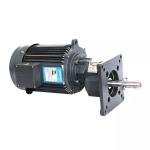 Taiwan Wanxin Wanshsin Transtecno Gear Motor For Automatic Feeding Line for sale