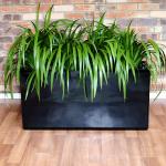 Wholesale Fiberglass Resin Flower Planters Modern Style FRP Plant Pots For Decor for sale