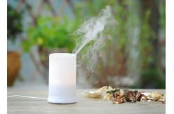 China Home Electric Aroma Diffuser Machine Aroma Mist Diffuser 100ml supplier
