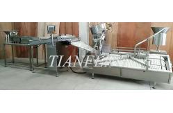 China Horizontal SS304 80pcs/Min Effervescent Tablet Filling Machine supplier
