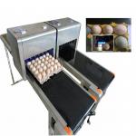 Digital Egg Batch Coding Machine / Inkjet Coding Machine For Effective Date for sale