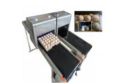 China Digital Egg Batch Coding Machine / Inkjet Coding Machine For Effective Date supplier