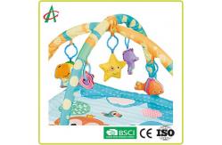 China CPSC Non Slip Washable Baby Tummy Time Mat For Cognitive Development supplier
