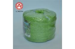 China Free Sample Tomato Polypropylene Tying Twine , Plastic Twine Rope 9000 Denier supplier