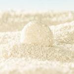 Biodegradable Tofu Cat Litter Bulk Eco Friendly Clumping Effect Cassava