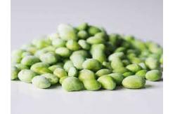 China ISO22000 HACCP Approved Frozen Edamame Pods IQF Bulk Green supplier