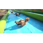 1000 ft Slip n Slide Inflatable Slide The City for sale
