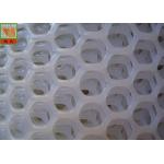Hexagonal Plaining 13mm Extruded Plastic Netting