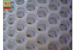 China Hexagonal Plaining 13mm Extruded Plastic Netting supplier