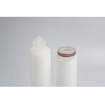 Double 0.22 Micron PES Membrane Filter Cartridge For Food Beverage Industry Filtration for sale