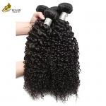 Bohemian Virgin Brazilian Remy Human Hair Bundles With Double Weft for sale