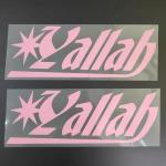 Full Colour HTV Heat Transfer Vinyl Logo Digital Design Iron On Logo Printing for sale