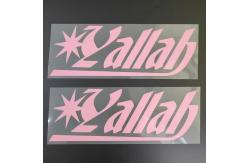 China Full Colour HTV Heat Transfer Vinyl Logo Digital Design Iron On Logo Printing supplier