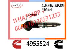China QSK19 Neutral fuel injector Y431K05420 F00BL0J019 2867149 2882079 4964170 4918073 4955524 4964173 supplier