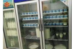 China Large Capacity Milk Processing Machine Small Scale Industrial Yogurt Maker Machine supplier