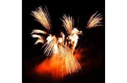 China Liuyang Mandarin Standard Cake Fireworks 2023 Pyrotechnics New Years Fireworks supplier