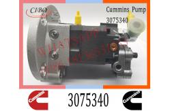 China Cummins M11 ISM11 Engine Parts Injection Fuel Pump 3075340 3060492 3041800 supplier