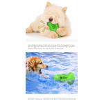 Cactus Dog Teeth Cleaning Chew Toy Squeaky Rubber Relieve Anxiety TPR OEM