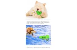 China Cactus Dog Teeth Cleaning Chew Toy Squeaky Rubber Relieve Anxiety TPR OEM supplier