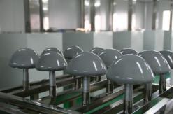 china Silicone Gel Breast Implants exporter