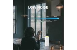 China Scented Aromatherapy Diffusers 300cbm 100ml Hanging Socket supplier