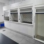 Customized Cheap Price Steel Structure 12.7mm Phenolic Resin Top Anti-Corrosion Resistance Lab Fume Hood Suppliers for sale