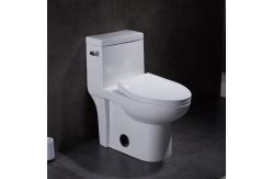 China 1 One Piece Elongated Toilet 15 Height Ceramic Wc Syphon Seamless Porcelain supplier