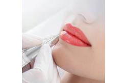 China Personalized Eyebrow Lips Makeup Device PMU MTS Complete Digital Machine supplier