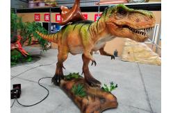China CE RoHs Realistic Animatronic Dinosaur , Natural Looking Dinosaur Model High Durability supplier