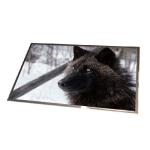 B121EW01 V2 12.1 inch 1280*800 LVDS TFT-lcd screen For Laptop for sale
