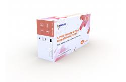 China TUV 24 Months Shelf Life H Pylori Antigen Rapid Diagnostic Kit supplier
