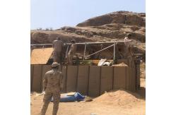 China Galvanized Flood Defense Barrier Prevention Solution By Welded Gabion Box supplier